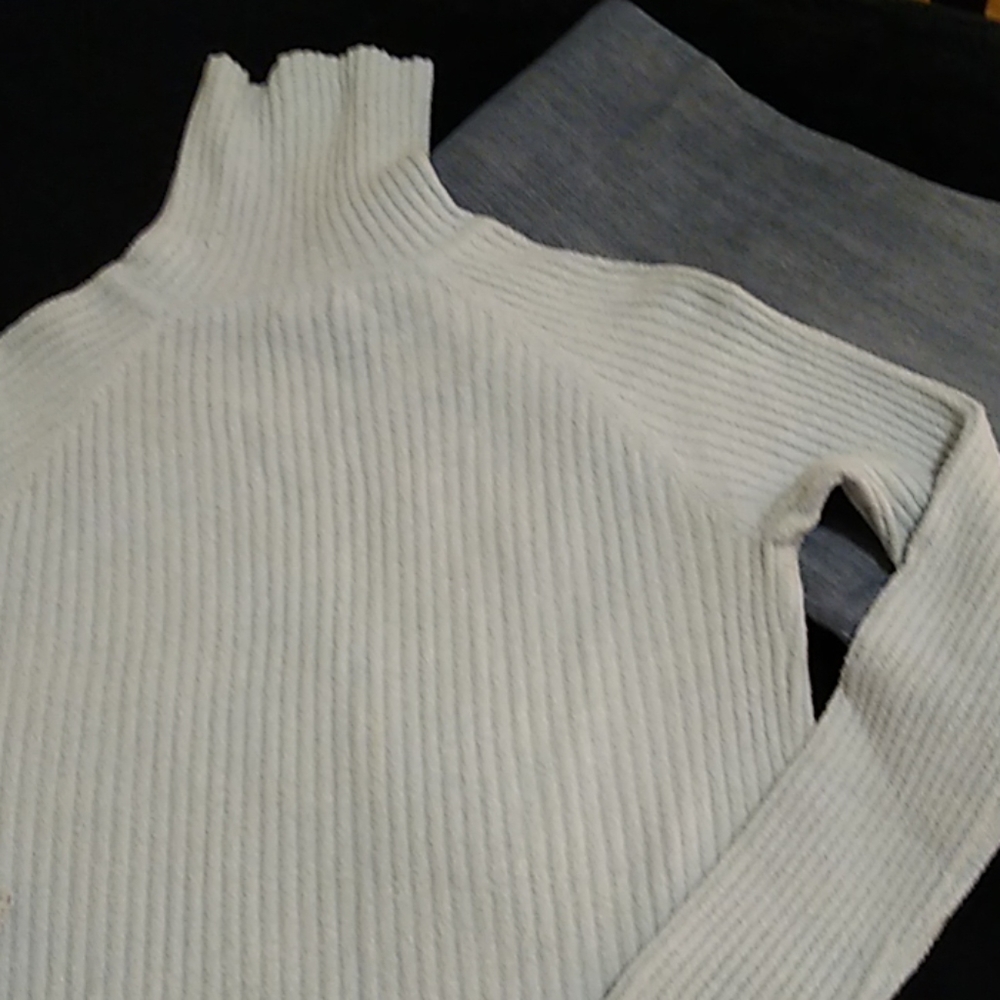 Taylor Marco Chenille Turtleneck